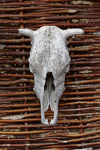 330px-OHRID_IMG_8889_DxO_(29581672993)