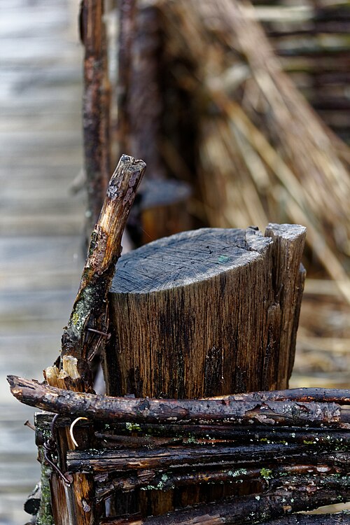 500px-OHRID_IMG_8890_DxO_(29581672103)